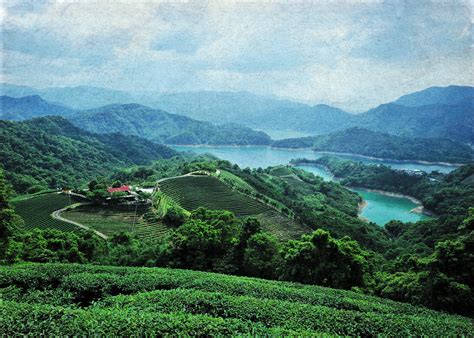 ― jadeite is abundant in myanmar. F_DDF2816-風景-Landscape-茶園-Tea Plantation-翡翠水庫-Feitsui Rese… | Flickr