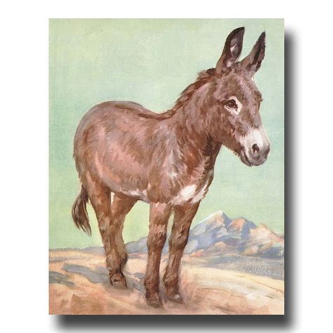 Donkey Art Donkey Print Animal Nursery Art By Cloudnineprints