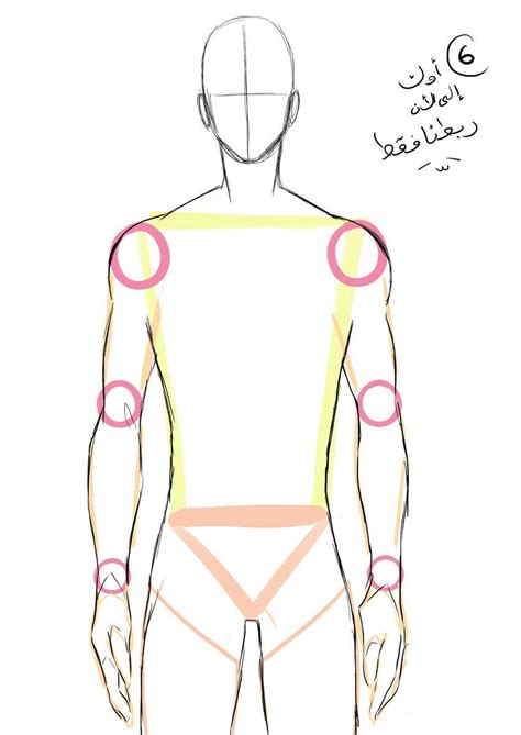 Male Anatomy Reference Anime Drawing The Human Figure