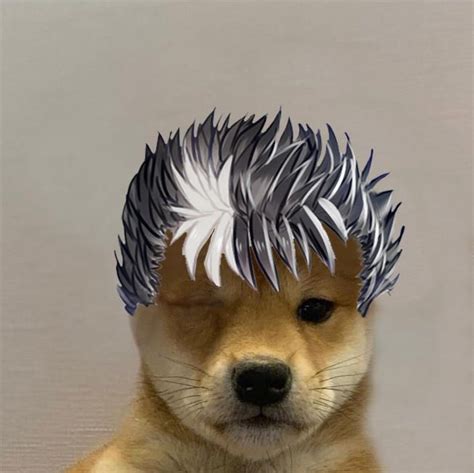 Dog With Guts Hair Dogwifhat Berserk Anime Jojo Bizzare Adventure