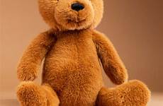 teddy bear gift cuddly soft gifts maple toy find sendacuddly