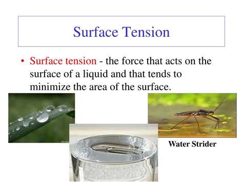 Surface Tension Definition Examples Applications Of S