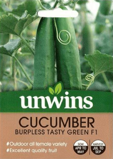 Unwins Cucumber Burpless Tasty Green F1 Seeds Trowell Garden Centre