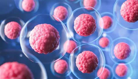 Adipose Stem Cell Therapy And Its Benefits Advanced Stem Cell Institute