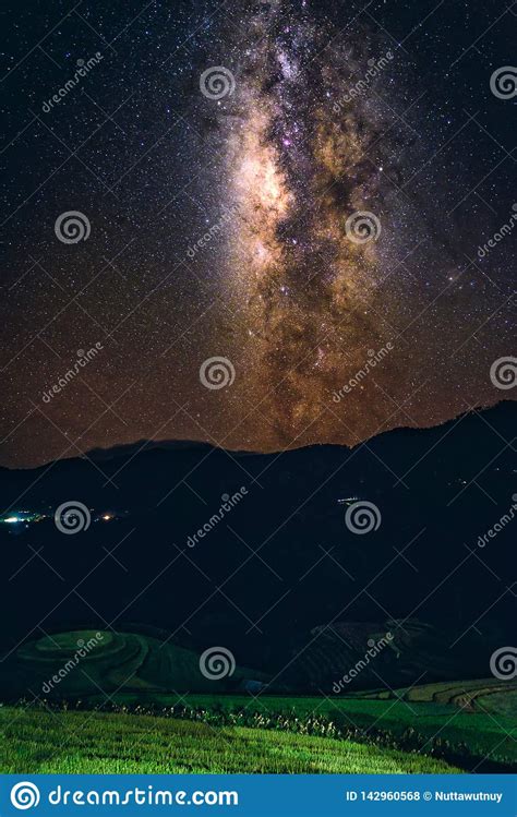 Landscape With Milky Way Galaxy Over Tree Night Sky With