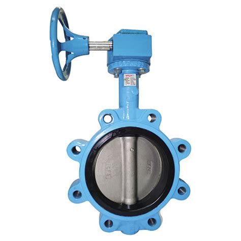 Commissioning Set Butterfly Valve Metering Station Valvo
