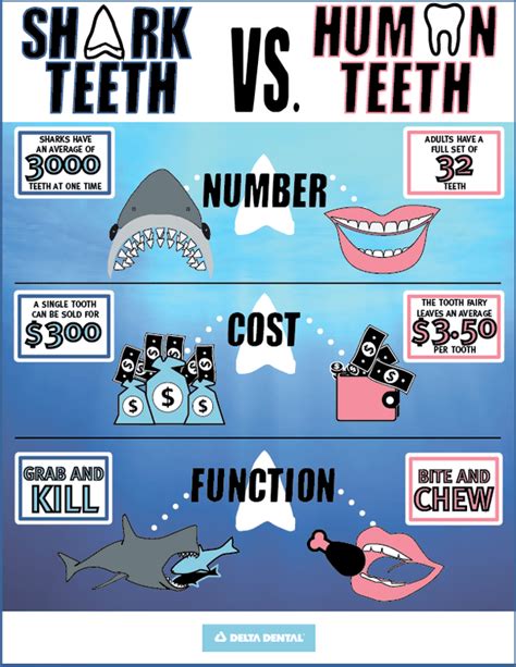 Sink Your Teeth Into Shark Week Delta Dental Of Arizona Blog Tips