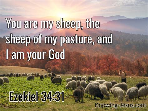 14 Bible Verses About Pasturing The Flock