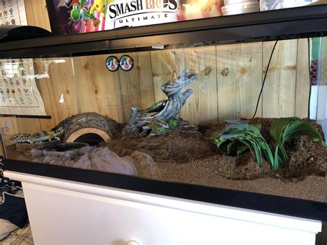 My New And Improved Leopard Gecko Terrarium R Reptiles