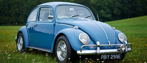 Blue Bug Car Beetle Lowered Bug Exempt Tilamuski