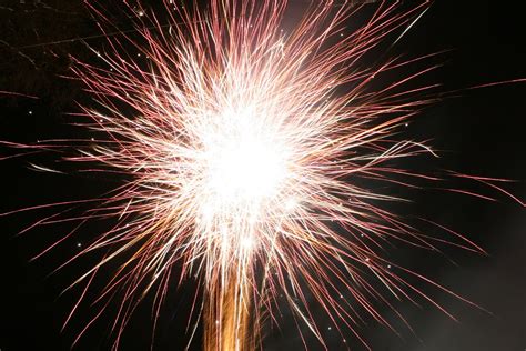 Firework Free Photo Download Freeimages