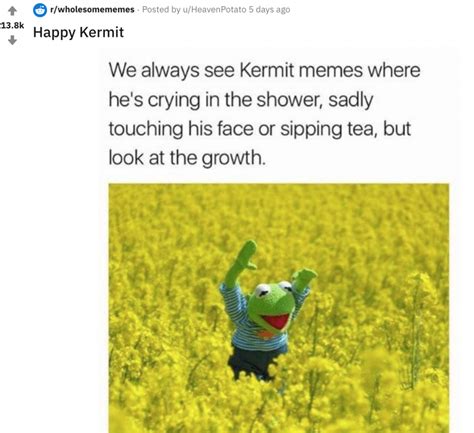 What Is The Wholesome Internet How Wholesome Memes Became A Trend