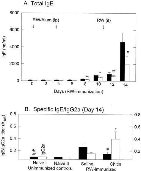Oral Administration Of Chitin Down Regulates Serum Ige Levels And Lung