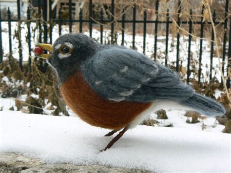 Needle Felted Bird American Robin With Berries Sculpture Etsy