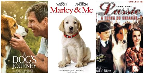 7 Must See Dog Movies ⋆ Starmometer
