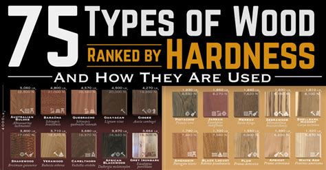 75 Types Of Wood Ranked By Hardness Archdaily