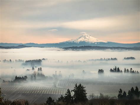 What You Need To Know About Willamette Valley Weather And Planning Your ...