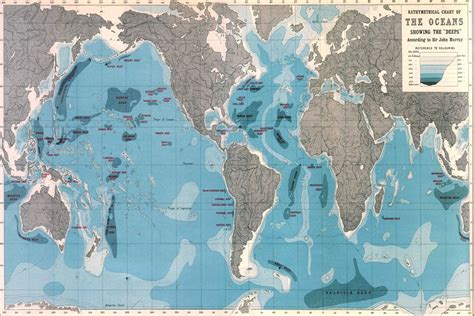 World Ocean Depths Map Mural Custom Made To Suit Your Wall Size By The