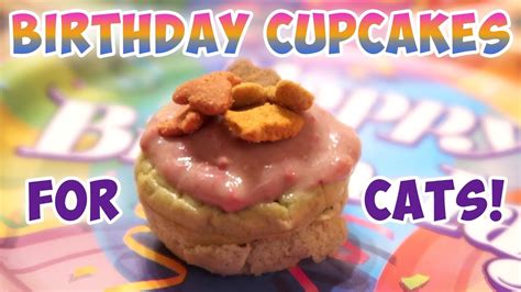 How To Make Birthday Cupcakes For Cats Birthday Ideas For Cats Youtube