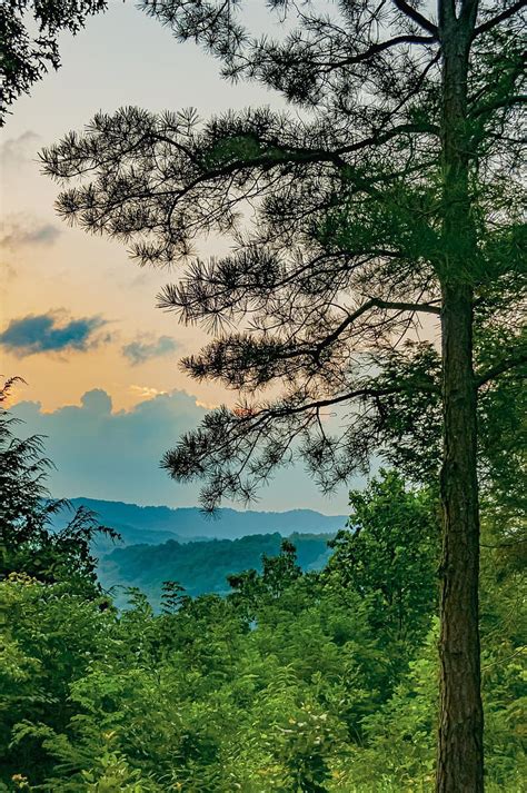 Vertrauen Ärmel Sicherheit West Virginia Countryside Startseite