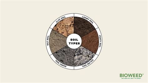 Common Soil Types In Australia And How To Manage Them