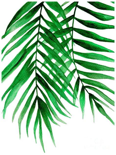 Watercolor Tropical Leaves Art Print Ubicaciondepersonascdmxgobmx