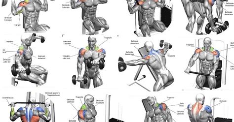 It's also the secret to looking broad and muscular. The 10 Best Shoulder Building Exercises for Bodybuilding ...