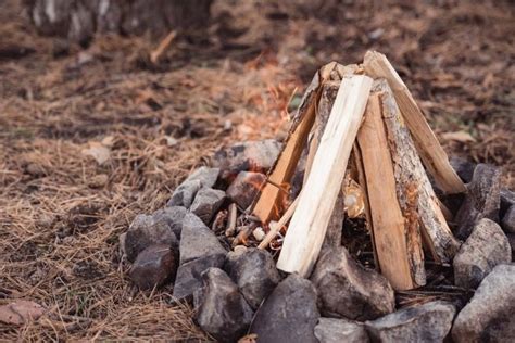 A Campfire Is An Essential Element For Your Camp Knowing Different