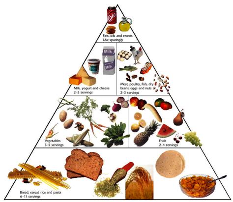 Food Pyramid Chart Brite Idea Sexiz Pix