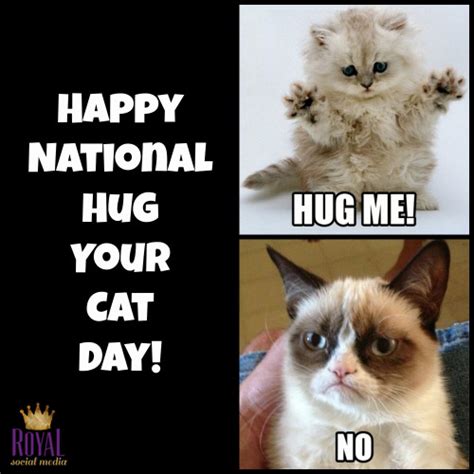 Royal Social Media National Hug Your Cat Day