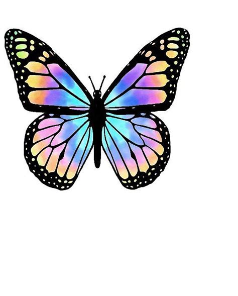 Butterfly Clip Art Butterfly Pictures Rainbow Butterfly Butterfly