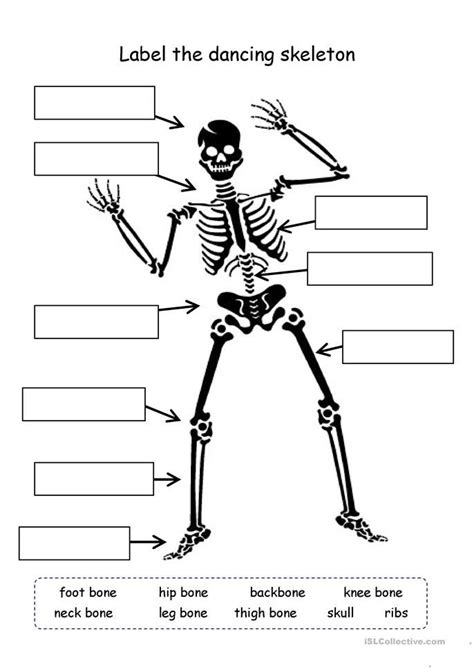 Simple Skeleton Worksheet For Kindergarten