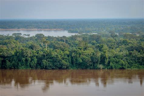 The Congo Basin Nicfi