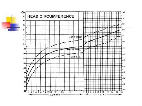 Neurologic Exam Pediatric Introduction 04 Head Circumference