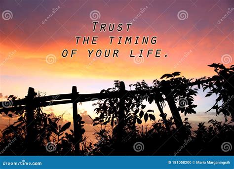 Inspirational Motivational Quote Trust The Timing Of Your Life On