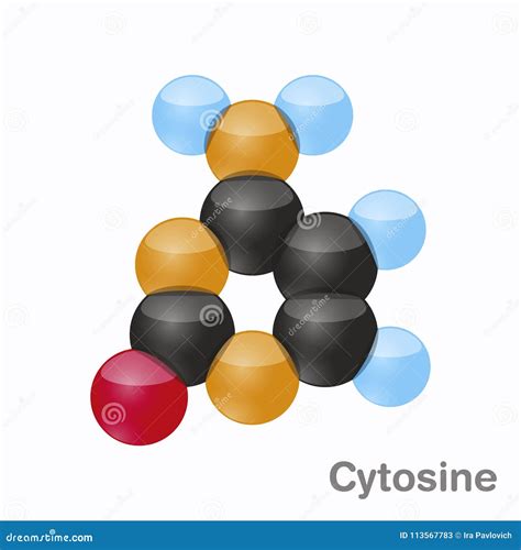 Citosina C Molécula Del Nucleobase De La Pirimidina Base Presente En La Dna Ejemplo Del Vector