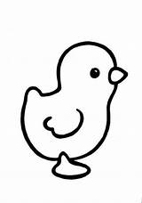 Coloring Pages Chicken Preschool Kids Choose Board Outline Baby Easter sketch template