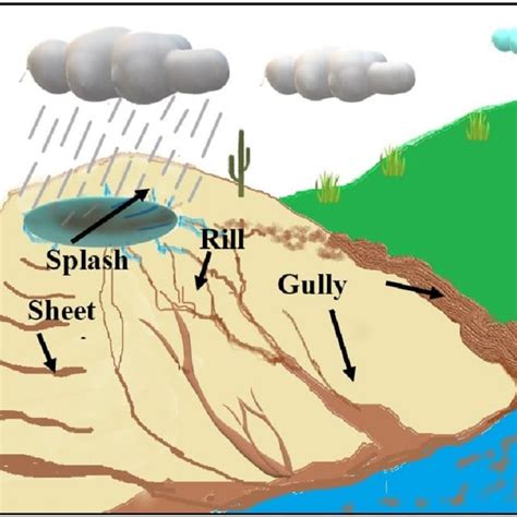 Water Erosion Types Causes And Effects Forestry Bloq