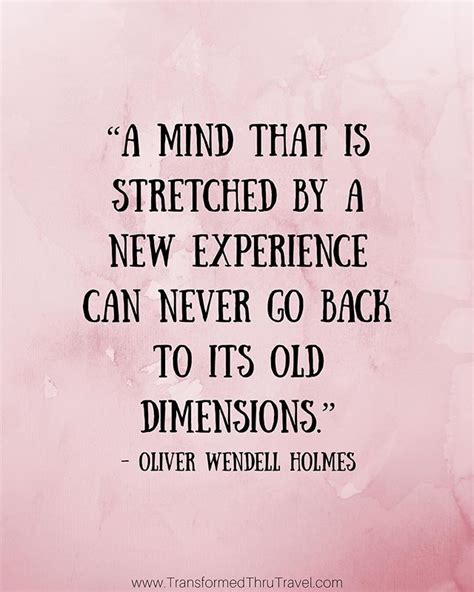 a mind that is stretched by a new experience can never go back to its old dimensions
