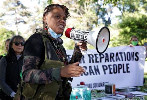 White St Louisans Rally For Black Reparations In Tower Grove Park