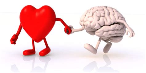 Herz Hirn Kommunikation So Tauschen Sich Gehirn Und Herz Aus Heilpraxis