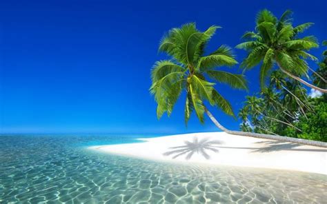 Playas Tropicales 4k Hd Beautiful Beaches Beautiful Landscapes
