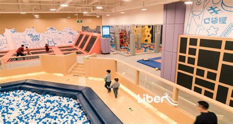 Parks is a chain of family entertainment centers which feature indoor activities such as carousels, kiddie swings, restaurants, mus. What should we do of VIP management in indoor Boomers amusement park?