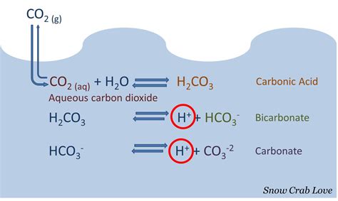 Snow Crab Love Whats Ocean Acidification