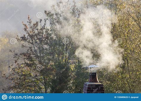 Smoke Raising From A Chimney In Winter Forest Background Stock Image