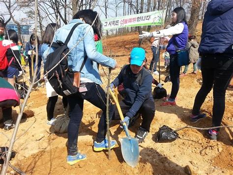 인천 성리중 2014년 식목행사와 아시안게임성공기원 아주경제