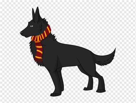 What Type Of Dog Is Sirius Black