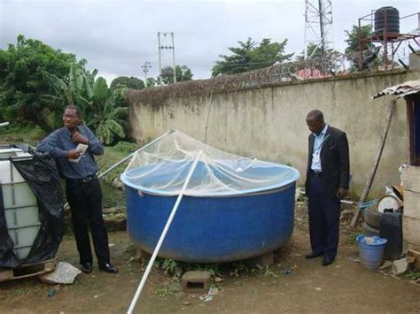 Many nigerians involved in catfish farming use concrete ponds or plastic tanks. Training Northern Nigeria youth and young farmers in ...