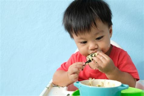 Check spelling or type a new query. Baby Led Weaning Foods by Age | BLW First Foods