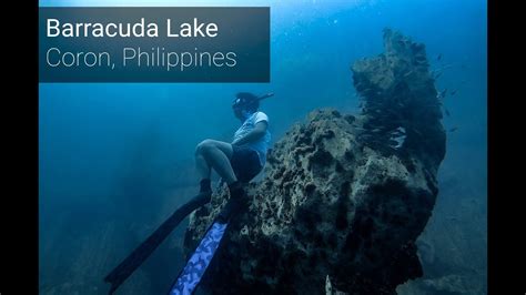 Freediving In Barracuda Lake Coron Philippines Gopro Hero 8 Youtube